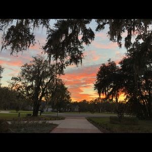 Meet your Posher, Abbie